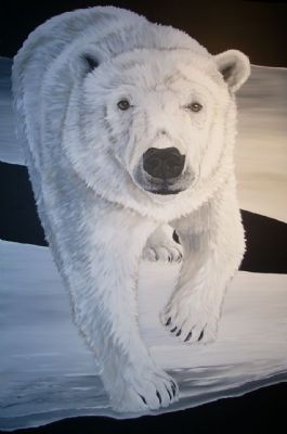 polar bear on ice